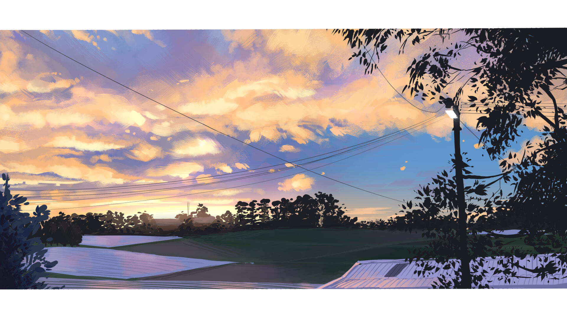 Colour_Study
